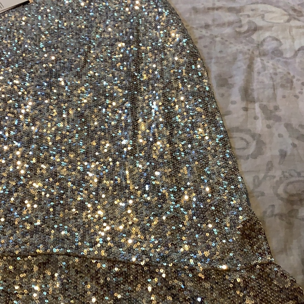 NWT Whistles Suki Sequin Silver Midi Skirt - Picture 7 of 12